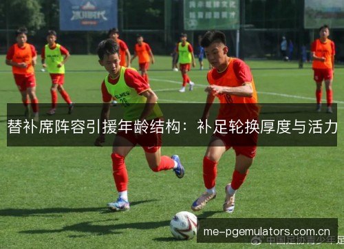 替补席阵容引援年龄结构:补足轮换厚度与活力 替补席阵容引援年龄结构:补足轮换厚度与活力